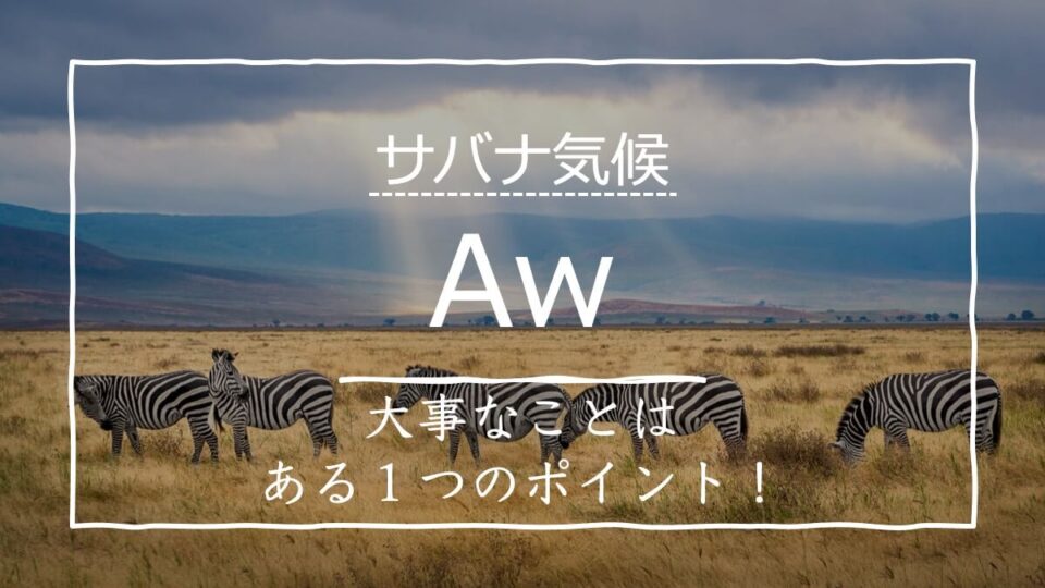 サバナ気候(Aw)の特徴とは?具体的な国名もたった1つのポイントで攻略可能! | 受験地理B短期マスター塾