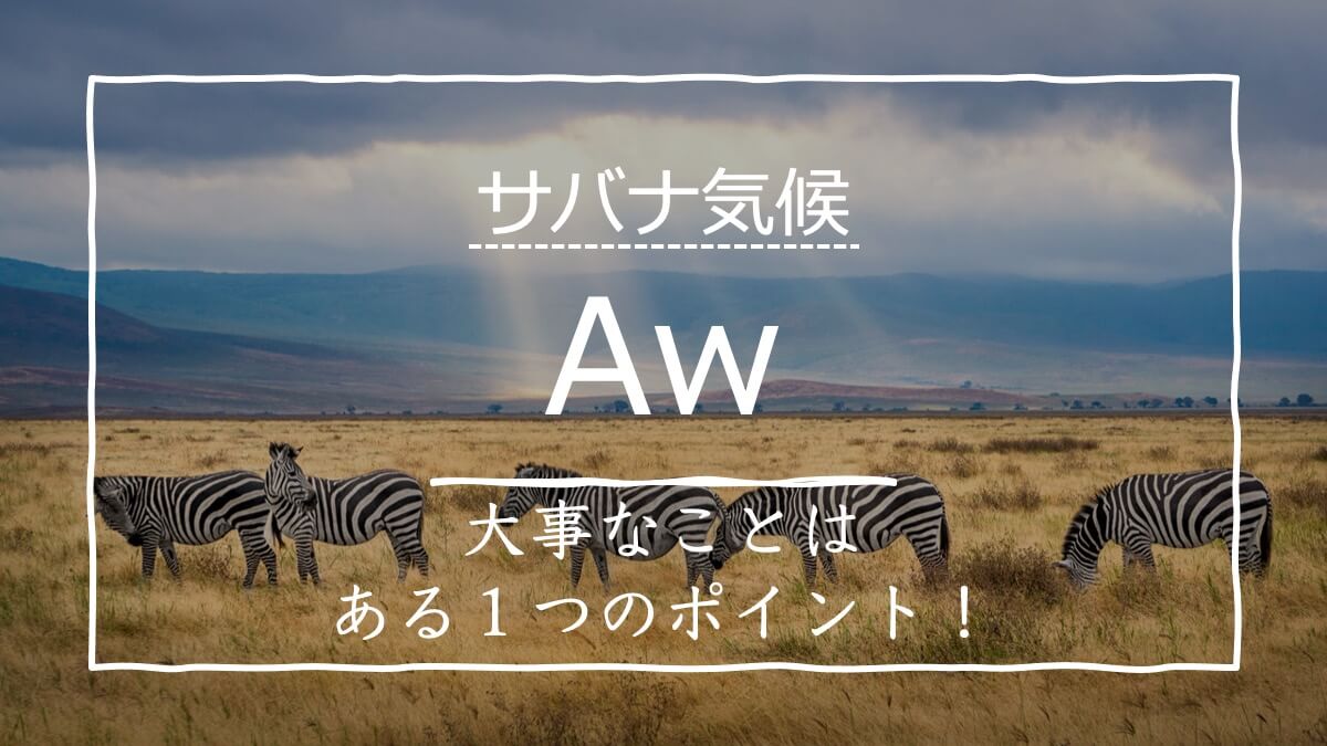 サバナ気候 Aw の特徴とは 具体的な国名もたった1つのポイントで攻略可能 受験地理b短期マスター塾