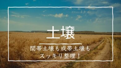 間帯土壌と成帯土壌の覚え方 種類も違いもまとめて攻略 受験地理b短期マスター塾