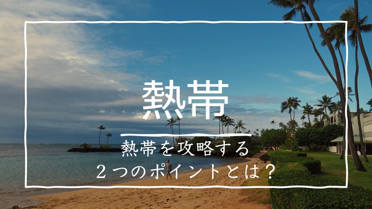 地理の熱帯についてまとめてみた 2つのポイントで簡単に攻略 受験地理b短期マスター塾