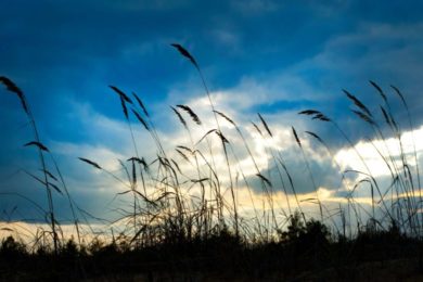 地理の風をまとめてみた わずか4種類覚えるだけでマスターできる!? | 受験地理短期マスター塾
