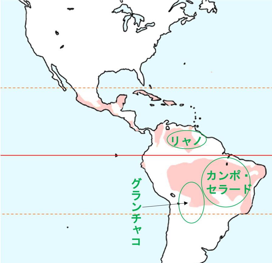 サバナ気候(Aw)の特徴とは?具体的な国名もたった1つのポイントで攻略可能! | 受験地理短期マスター塾