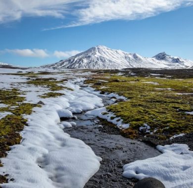 Летняя тундра фото