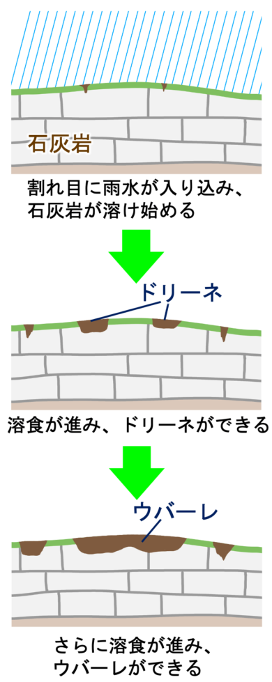 【カルスト地形】ドリーネ、ウバーレ、ポリエの違いとは？受験で必要なポイントを解説！ | 受験地理短期マスター塾
